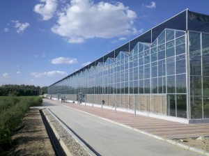 種養結合循環農業建設是提高農業競爭力的需要